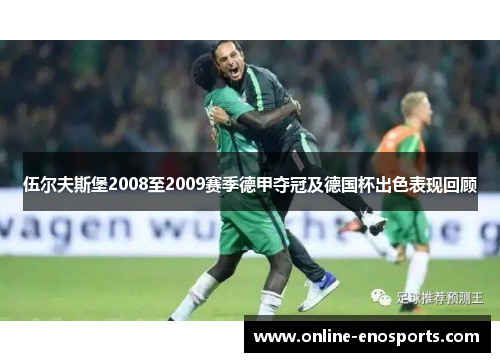 伍尔夫斯堡2008至2009赛季德甲夺冠及德国杯出色表现回顾