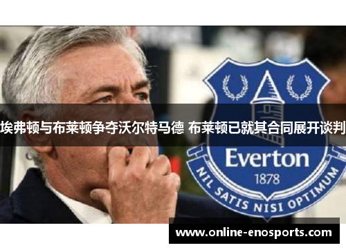 埃弗顿与布莱顿争夺沃尔特马德 布莱顿已就其合同展开谈判
